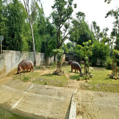 Arignar Anna Zoological Park Tours